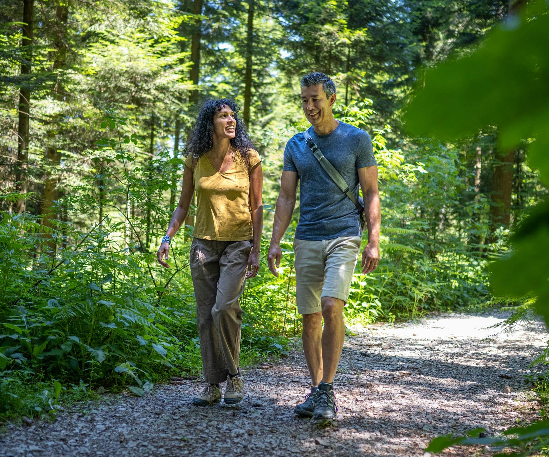 there are two people walking down a path in the woods