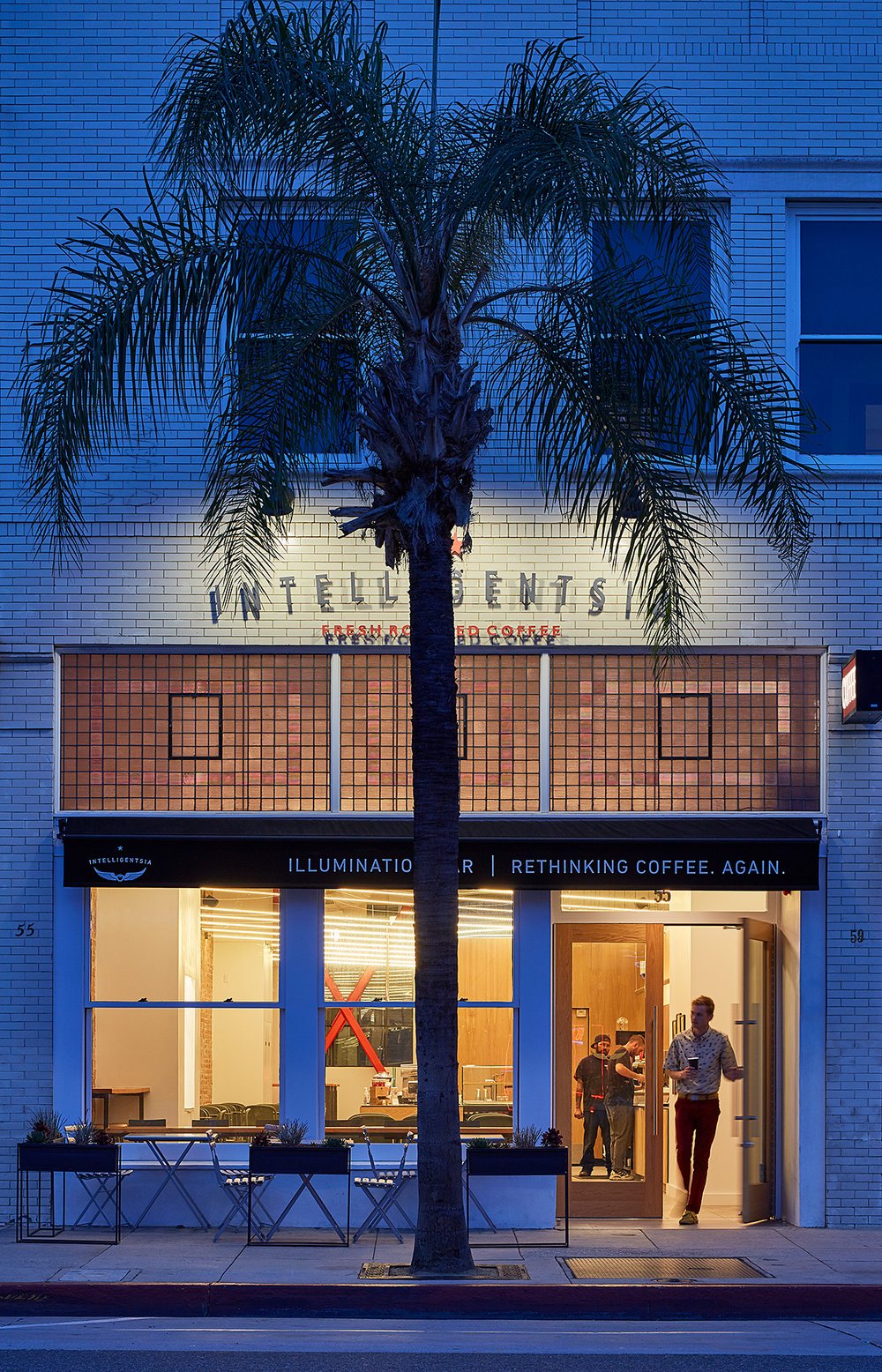 Palm Tree at night in front of Intelligentsia coffee bar