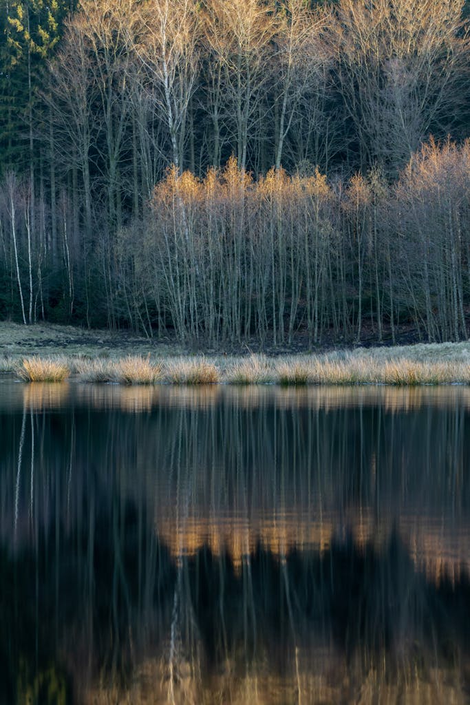 bradford on avon landscape photography wiltshire sweden woods