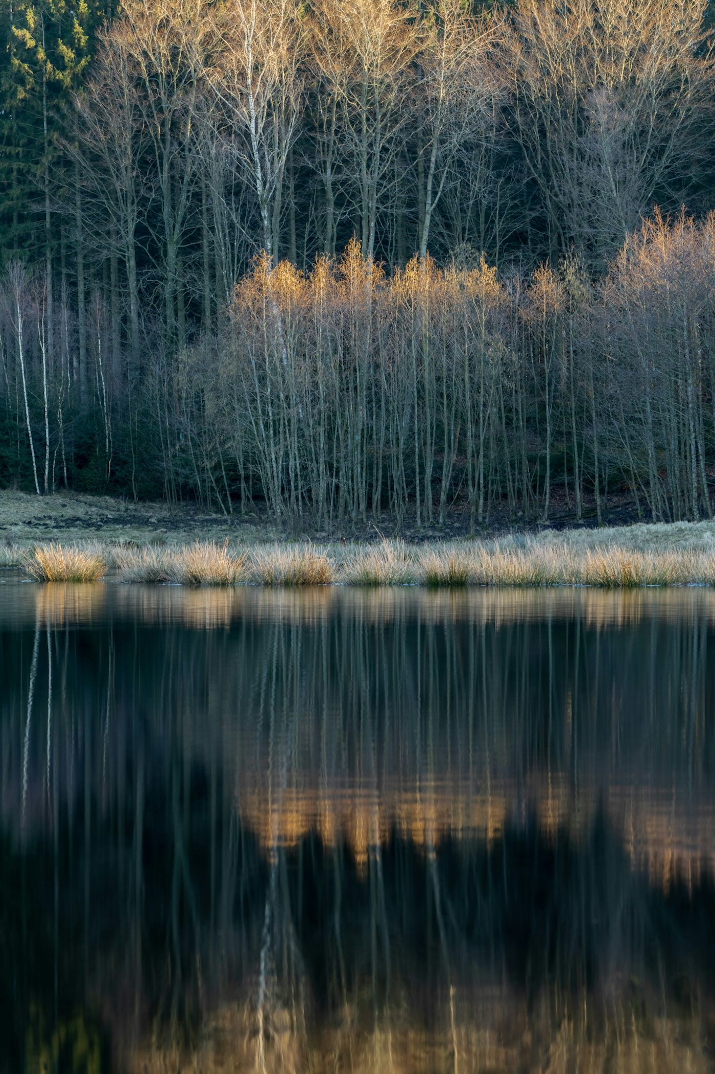 bradford on avon landscape photography wiltshire sweden woods