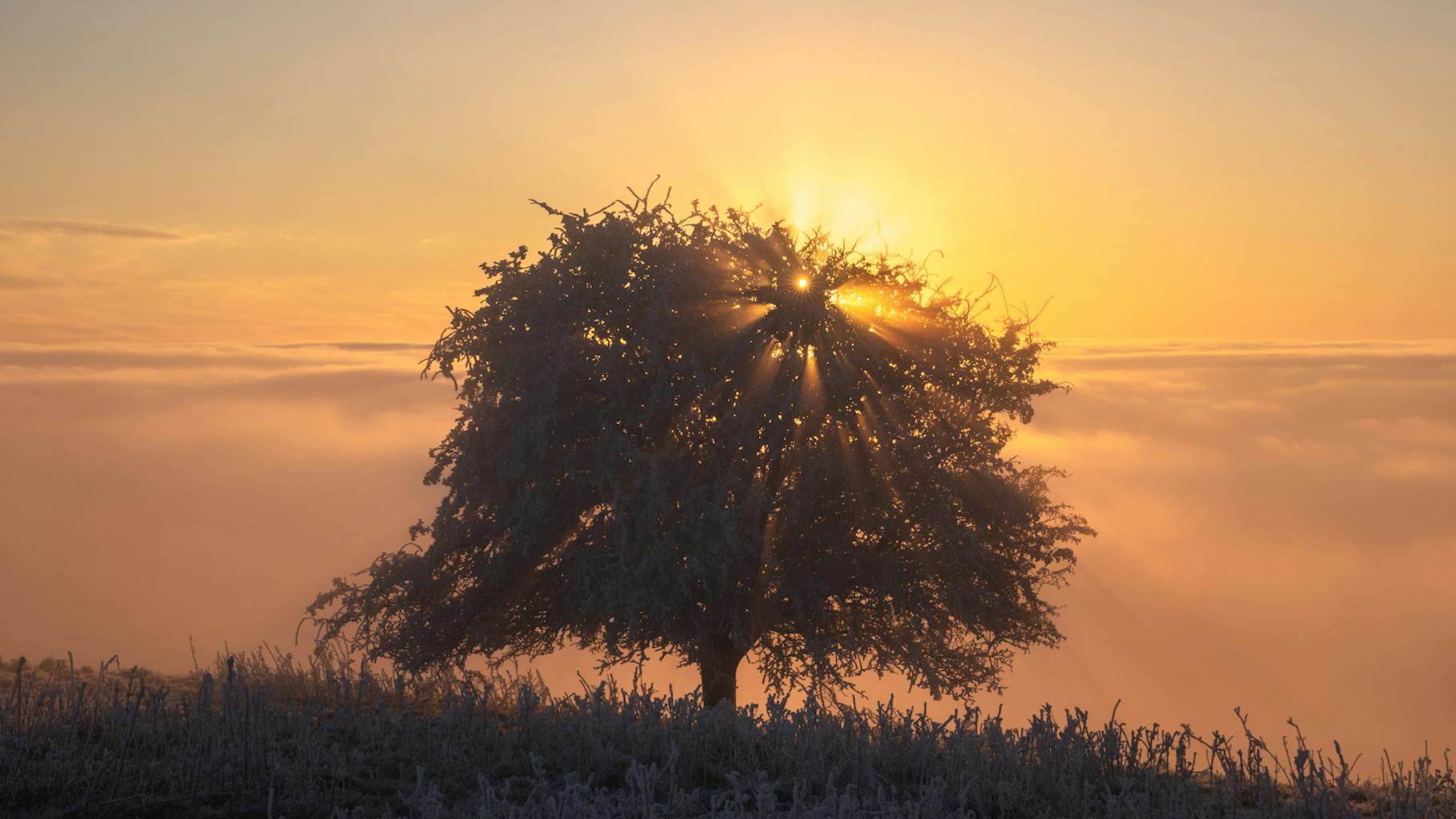 bradford on avon landscape photography wiltshire sunrise over fog inversion