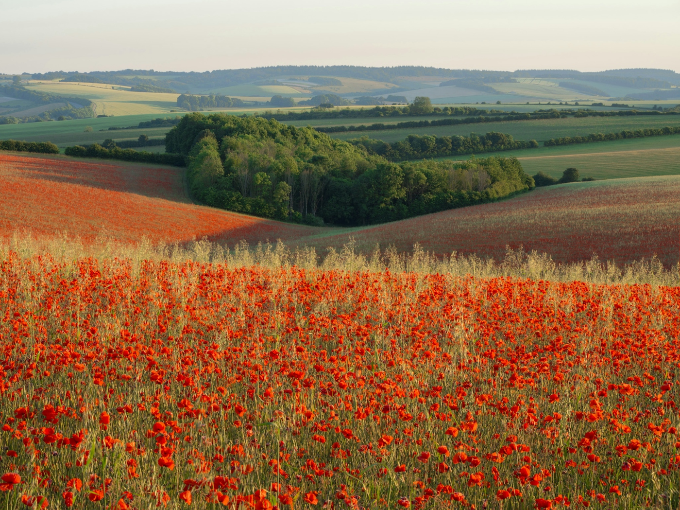 bradford on avon landscape photography wiltshire poppy field