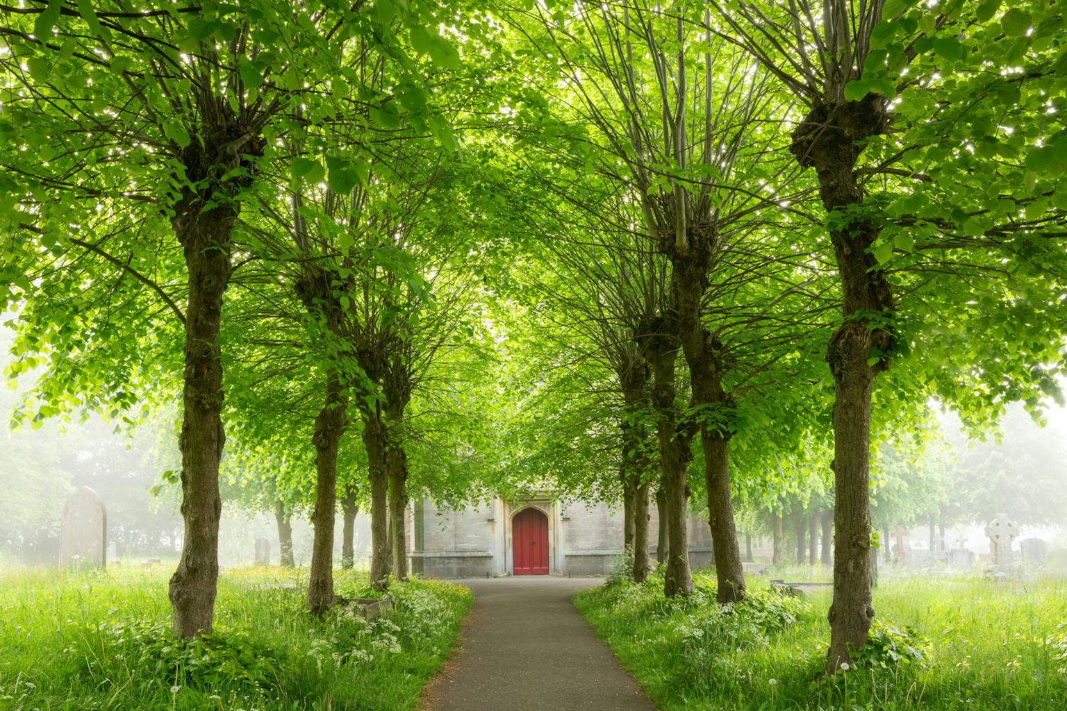 bradford on avon landscape photography wiltshire church spring