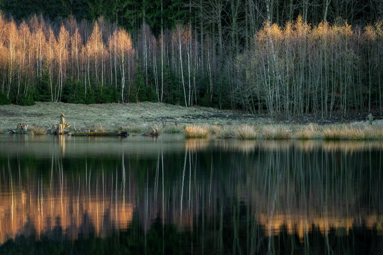 bradford on avon landscape photography wiltshire sweden woods