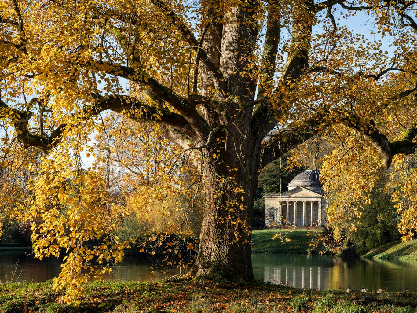 bradford on avon landscape photography wiltshire pantheon autumn tree