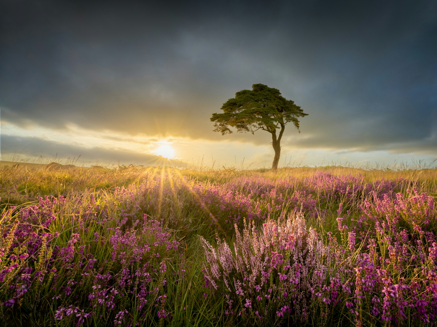 bradford on avon landscape photography wiltshire heather sunset moody sky