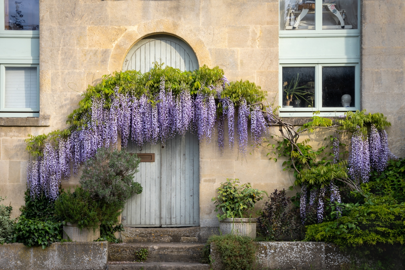 bradford on avon landscape photography wiltshire flowers over door