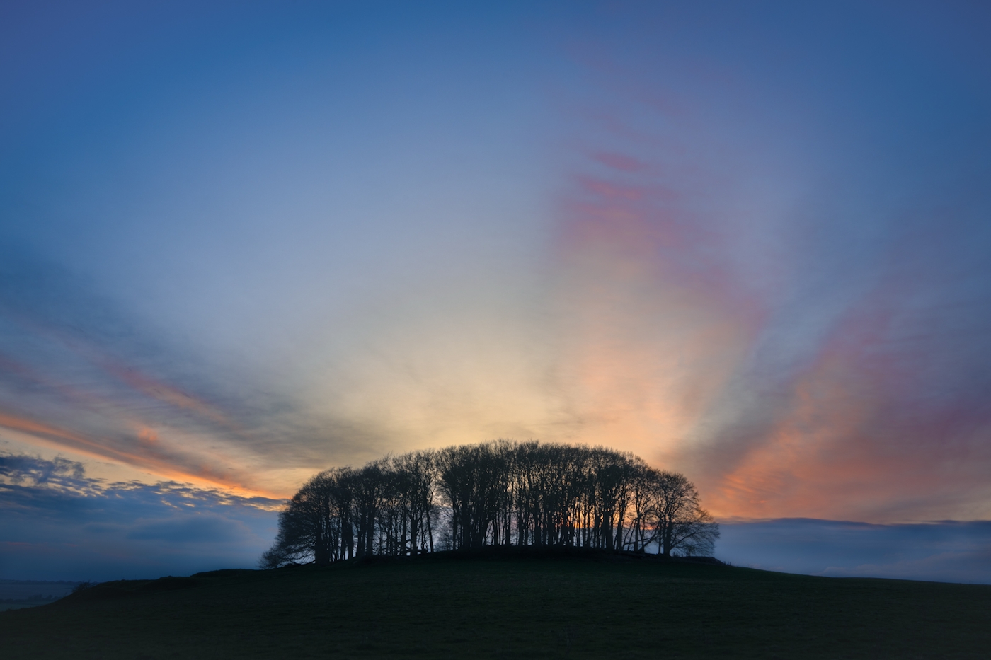 bradford on avon landscape photography wiltshire tree group sunrise