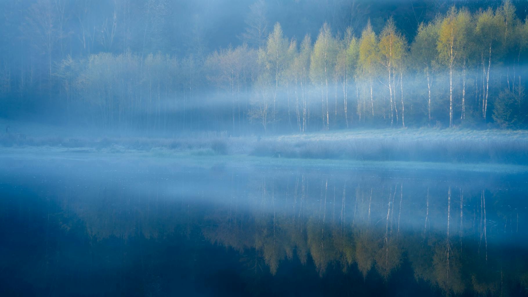 bradford on avon landscape photography wiltshire misty woods