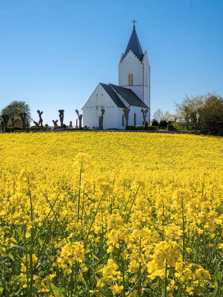bradford on avon landscape photography wiltshire sweden rapeseed