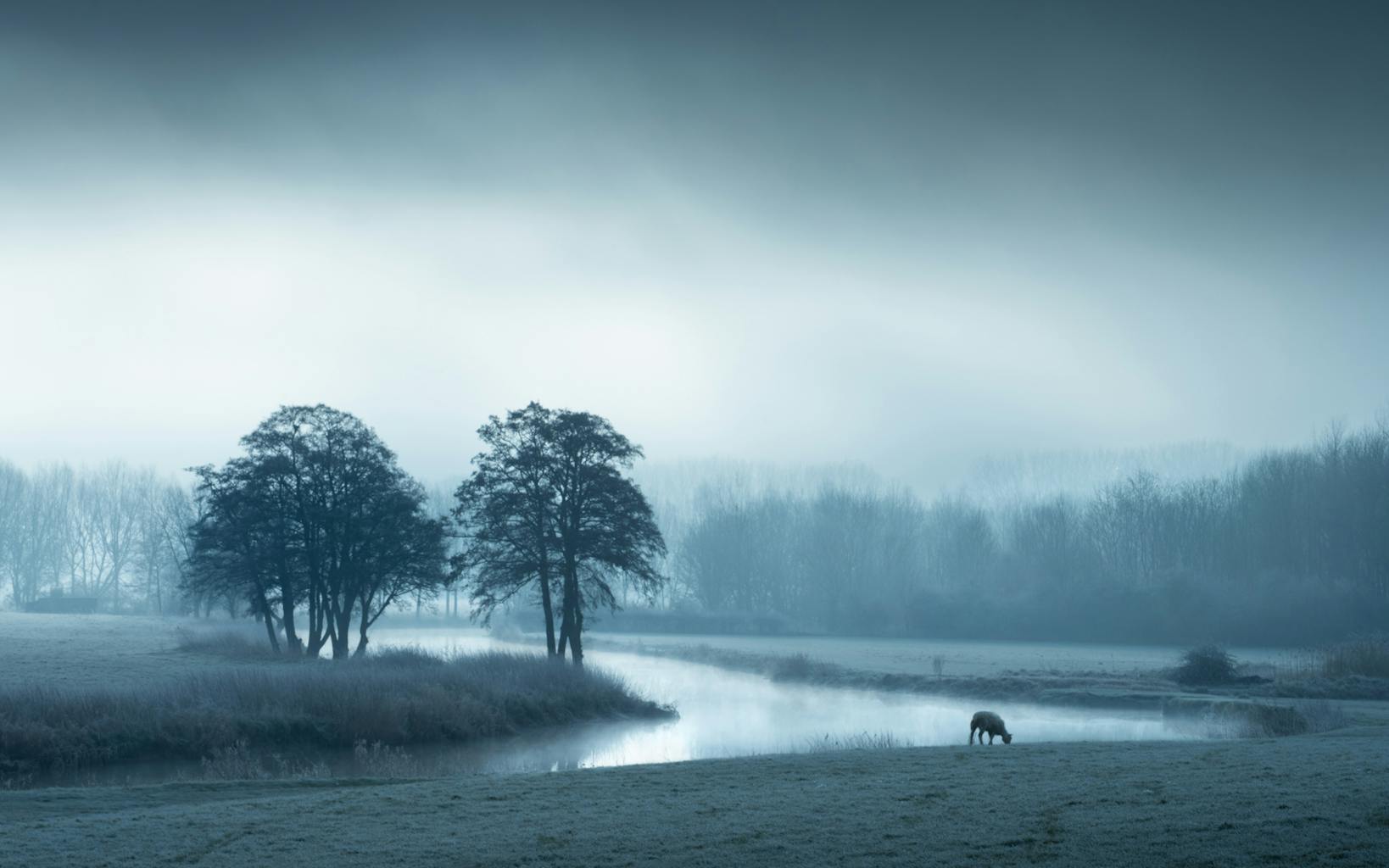 bradford on avon landscape photography wiltshire morning river wildlife