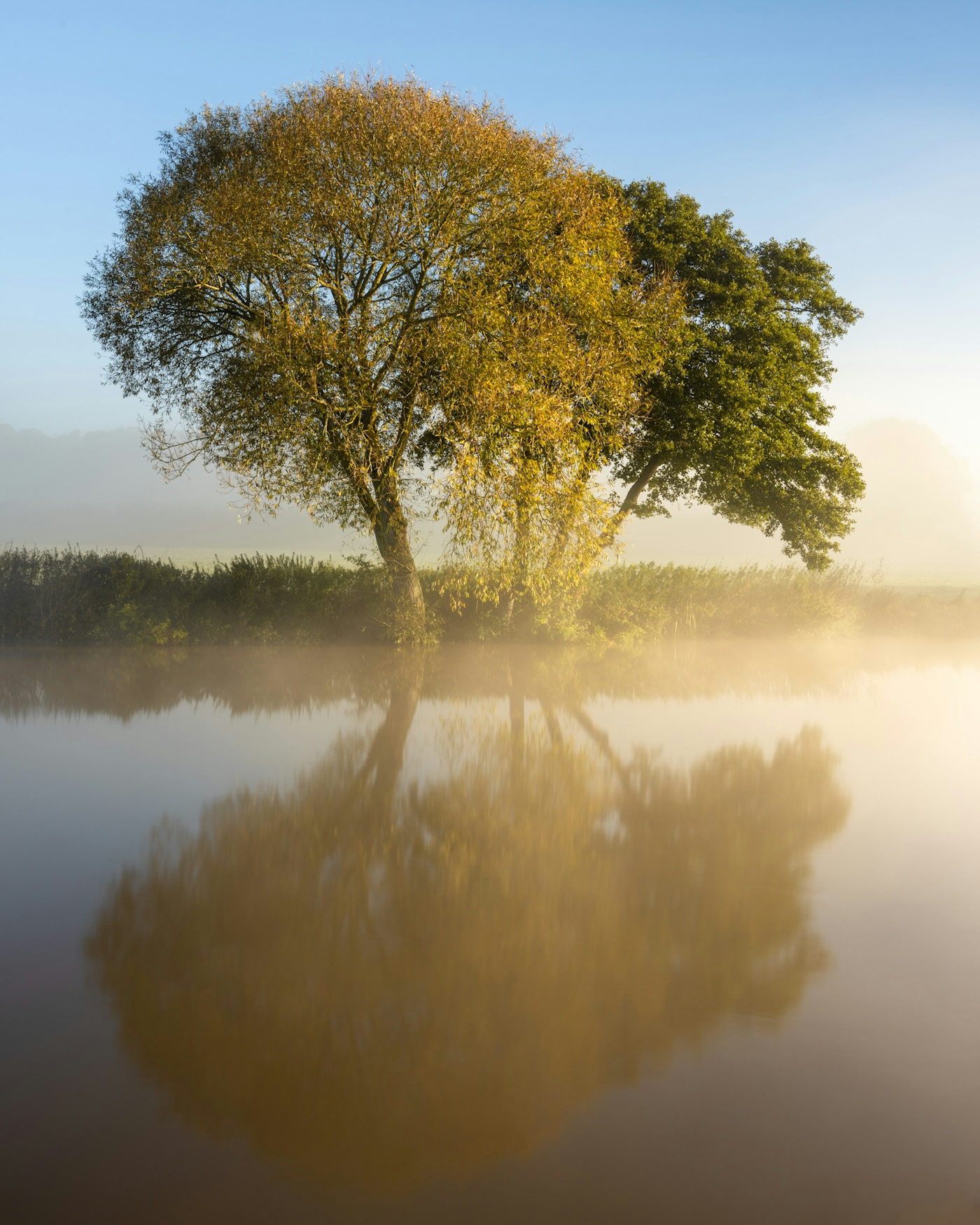 bradford on avon landscape photography wiltshire river tree reflection