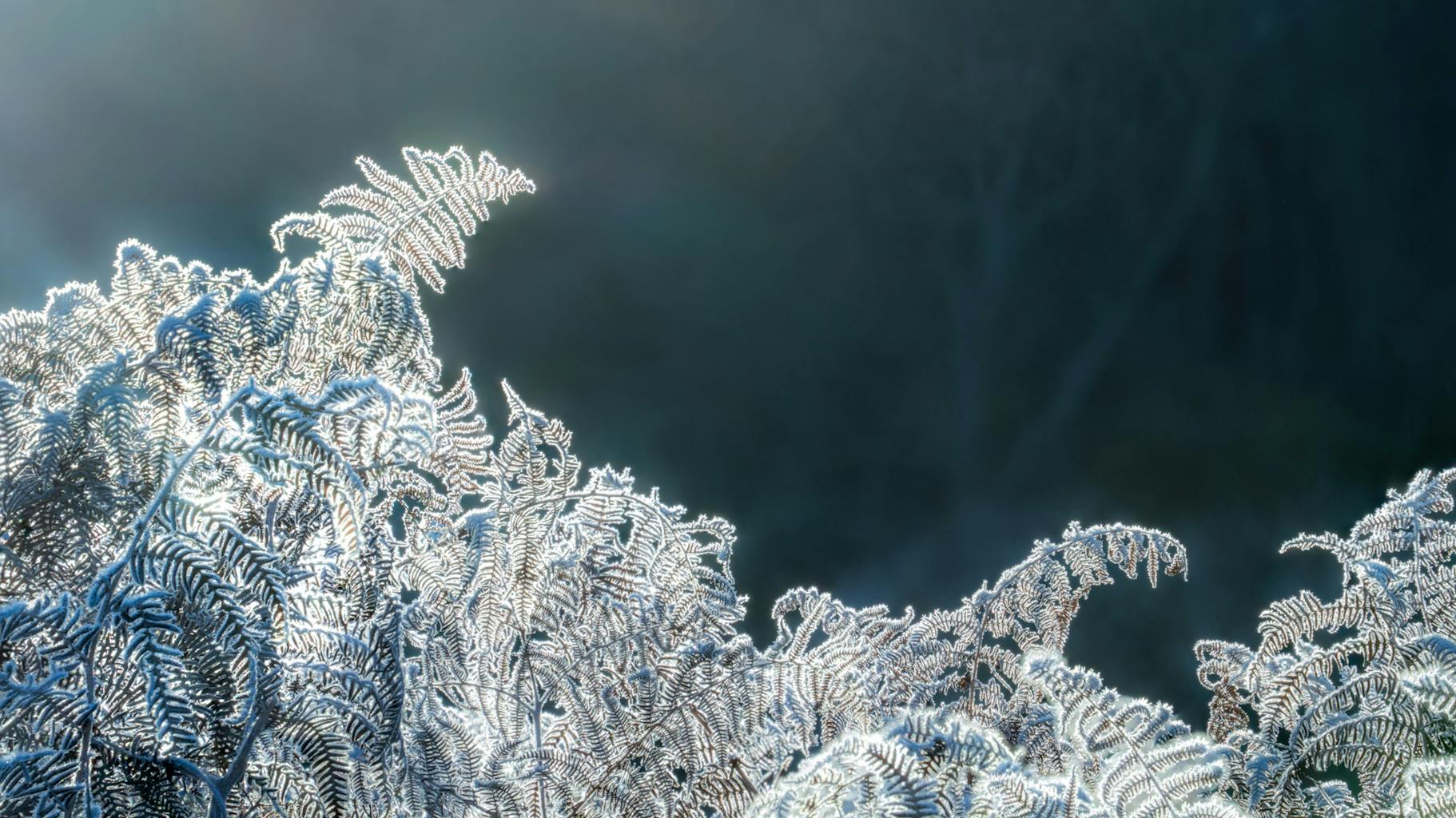 bradford on avon landscape photography wiltshire frost waves