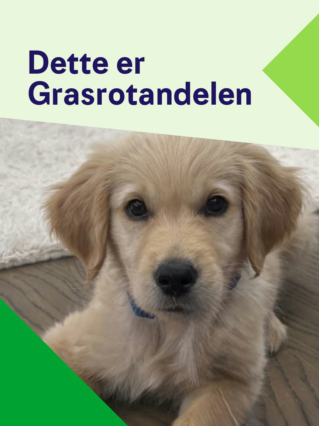 Dette er Grasrotandelen. Les mer om Grasrot her