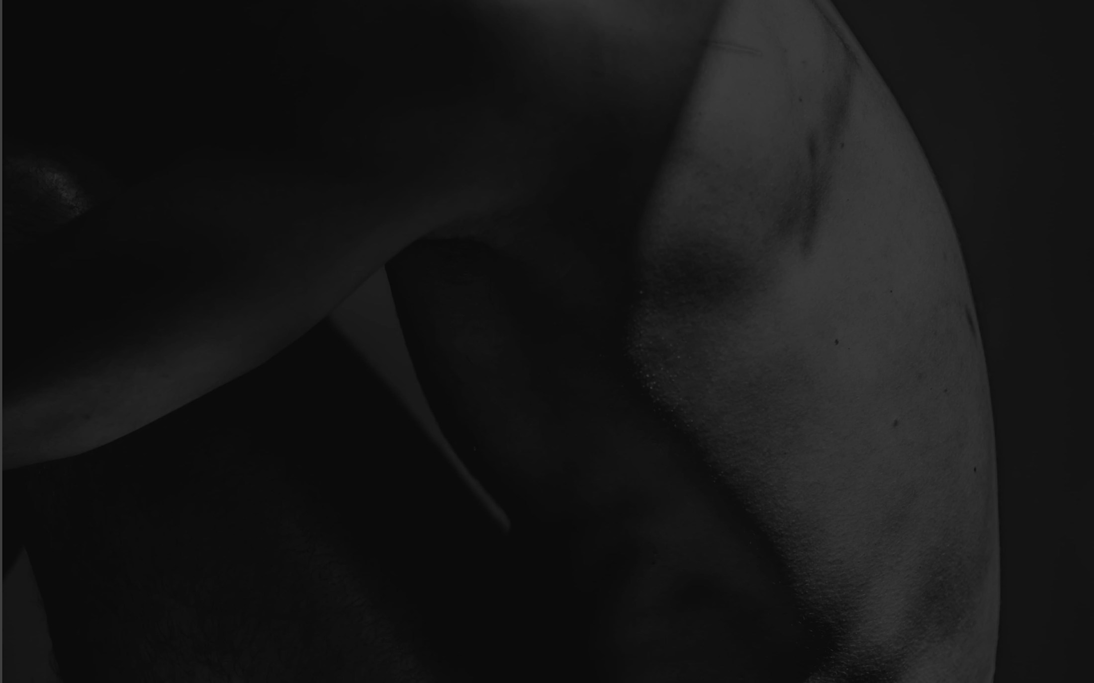 Banner media