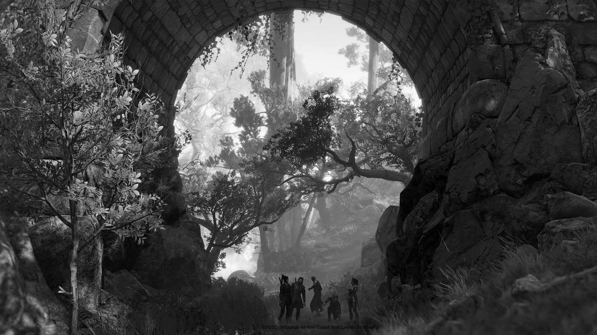 Baldur's Gate 3 - 2020 - Steam - Stadia