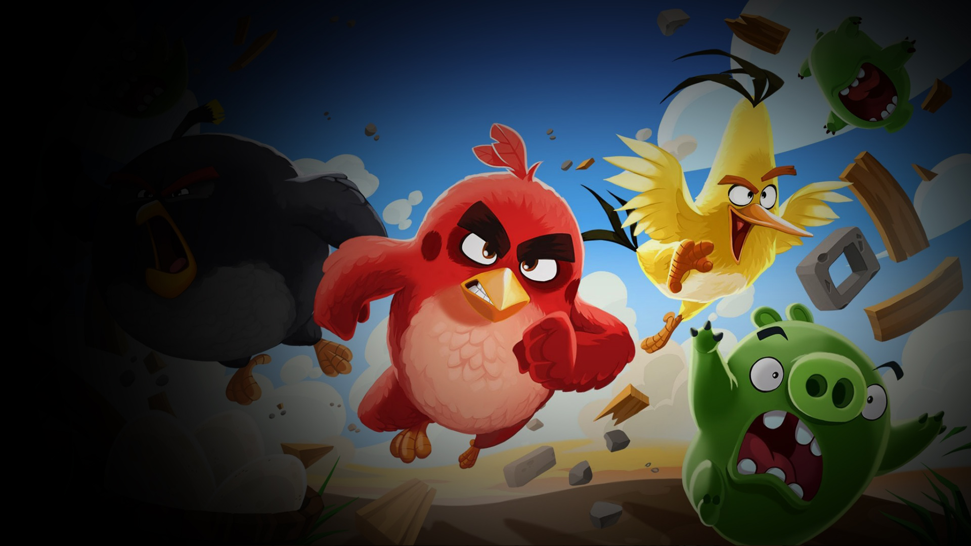 Angry birds 2011