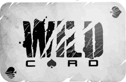 Studio Wildcard