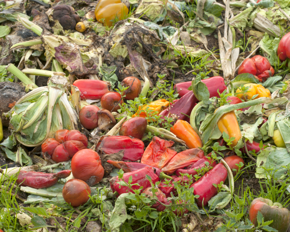 Food waste as part of organic waste recycling to create renewable energy
