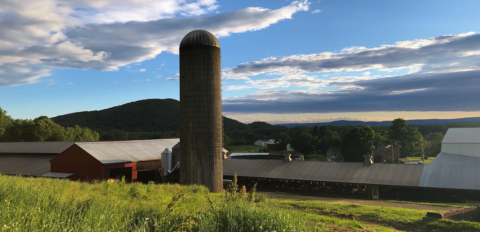 Anaerobic digestion facility on a farm, generating renewable energy from food waste recycling