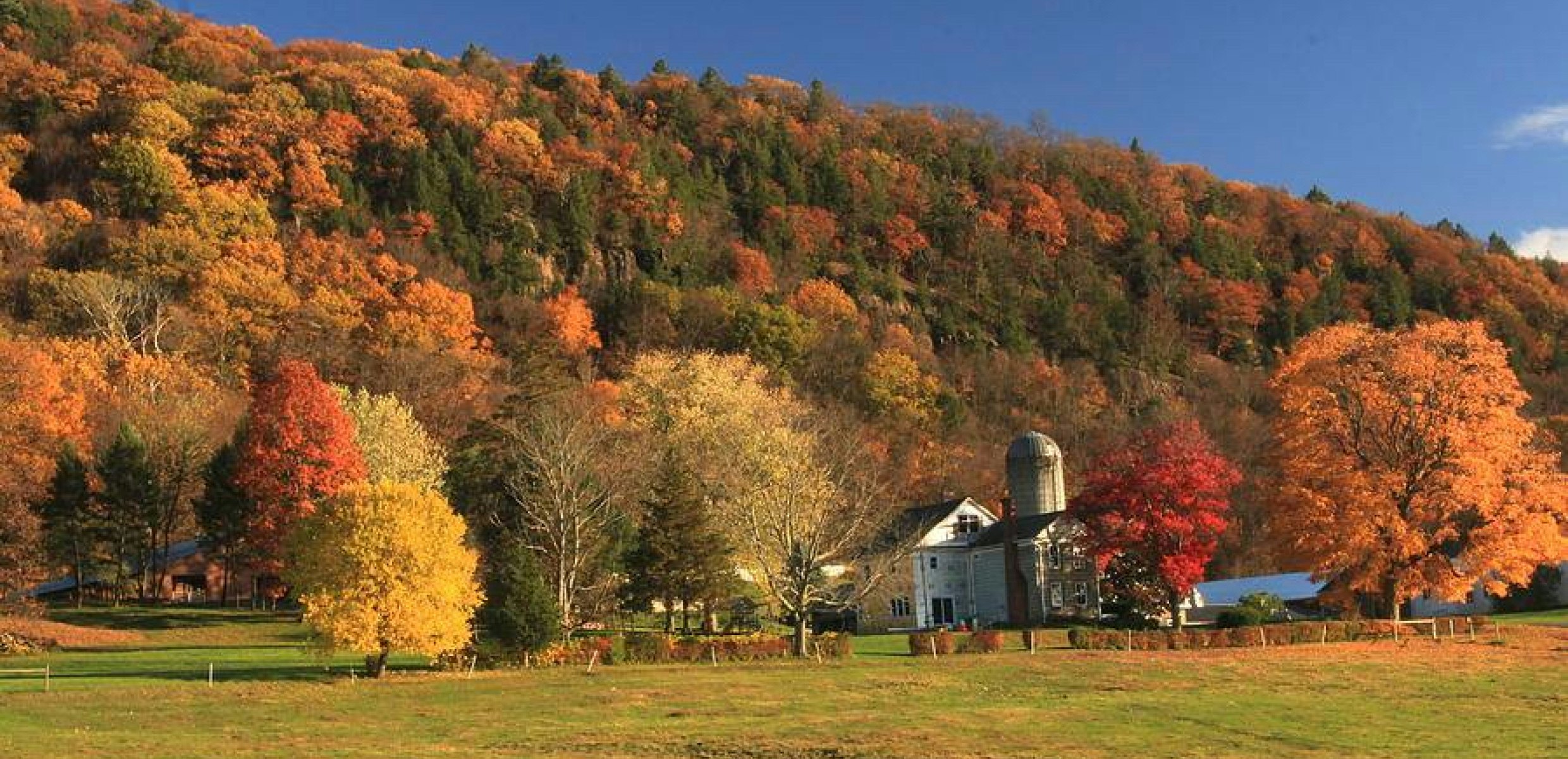 Dairy farm using anaerobic digestion to produce renewable natural gas
