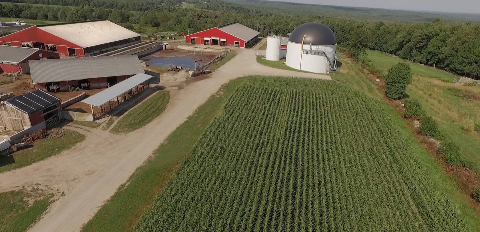 Anaerobic digestion facility on a farm, generating renewable energy from food waste recycling