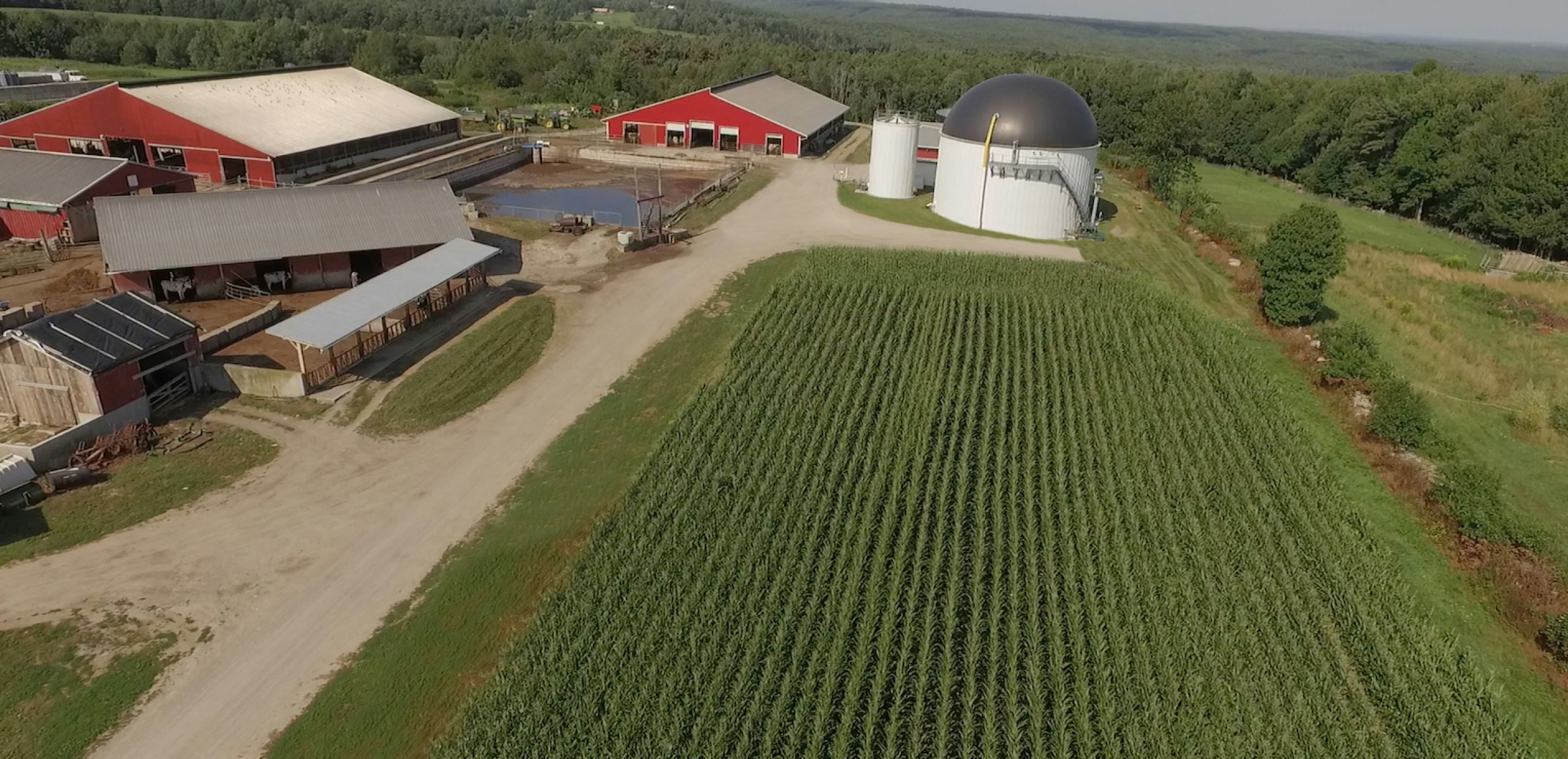 Anaerobic digestion facility on a farm, generating renewable energy from food waste recycling