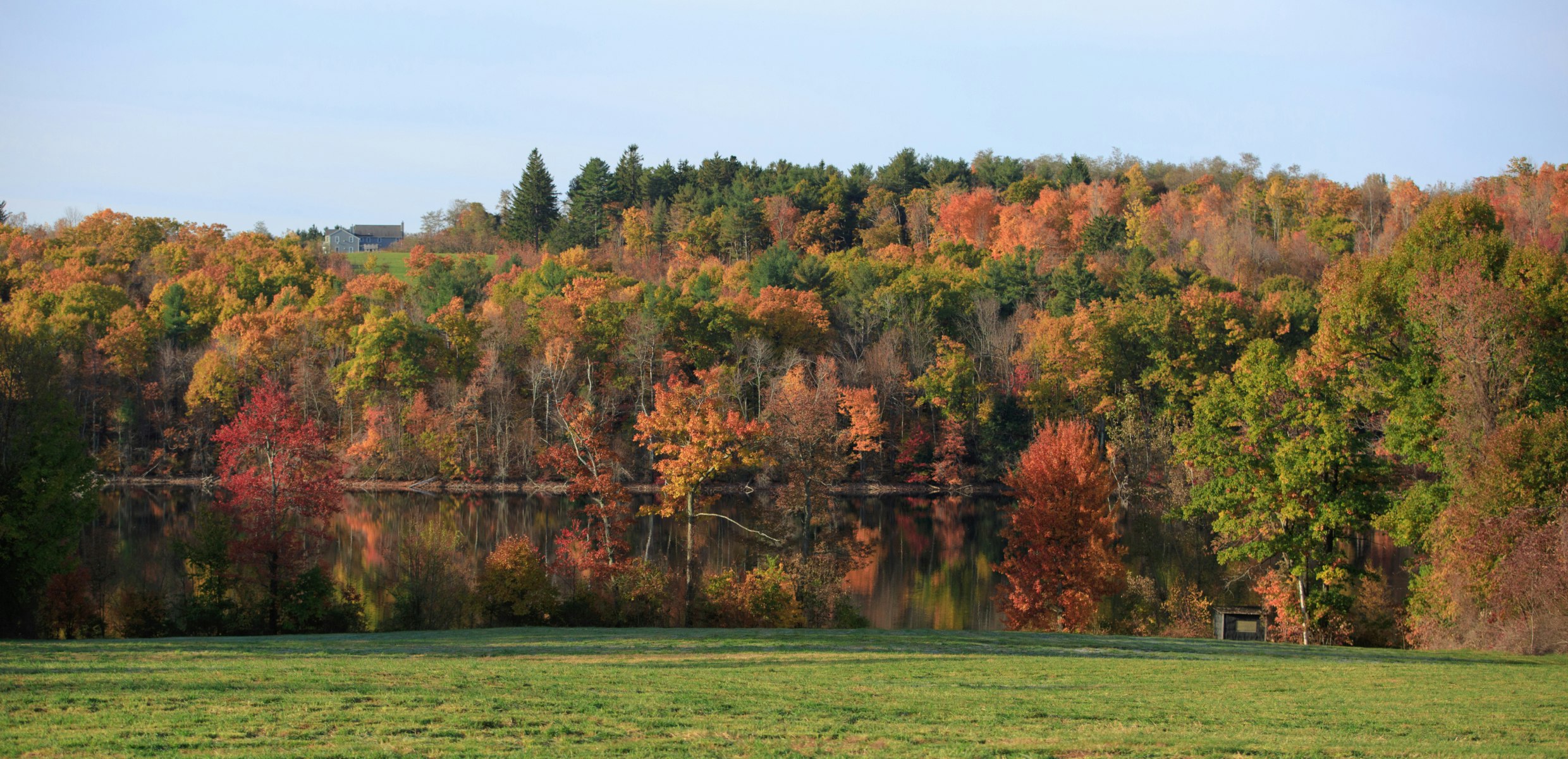 Lush landscape surrounding dairy farm with anaerobic digester