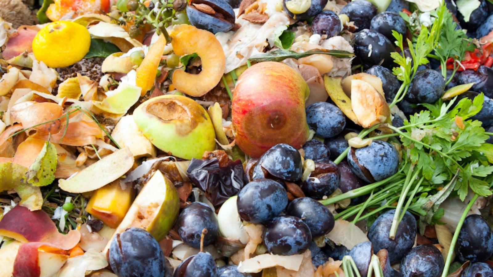 Food waste as part of organic waste recycling to create renewable energy