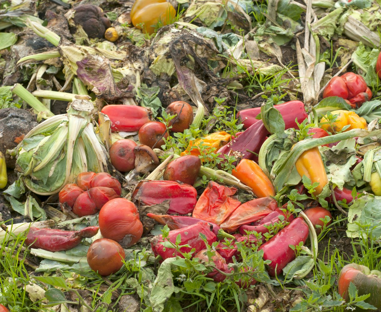 Food waste as part of organic waste recycling to create renewable energy