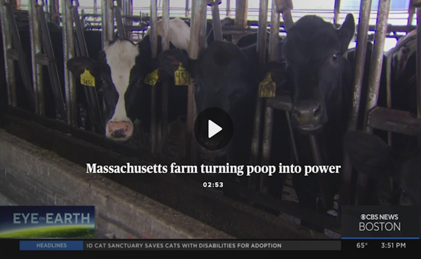 Massachusetts farm turning cow poop into power and profit