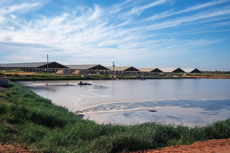 From manure to methane without the investment