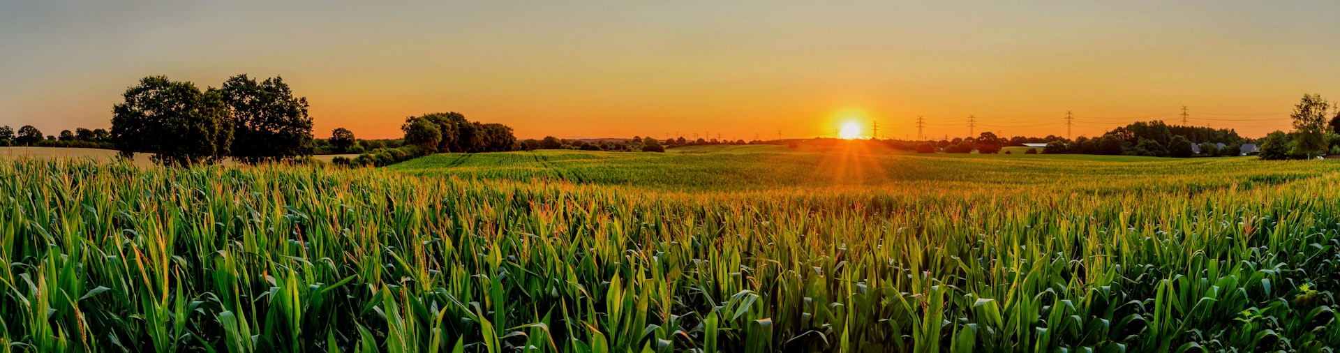 Ready to future-proof your operations?