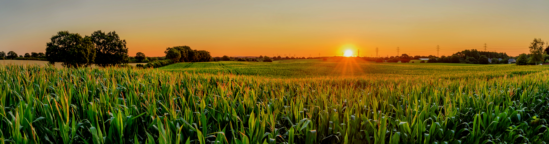 Let's simplify your waste strategy.