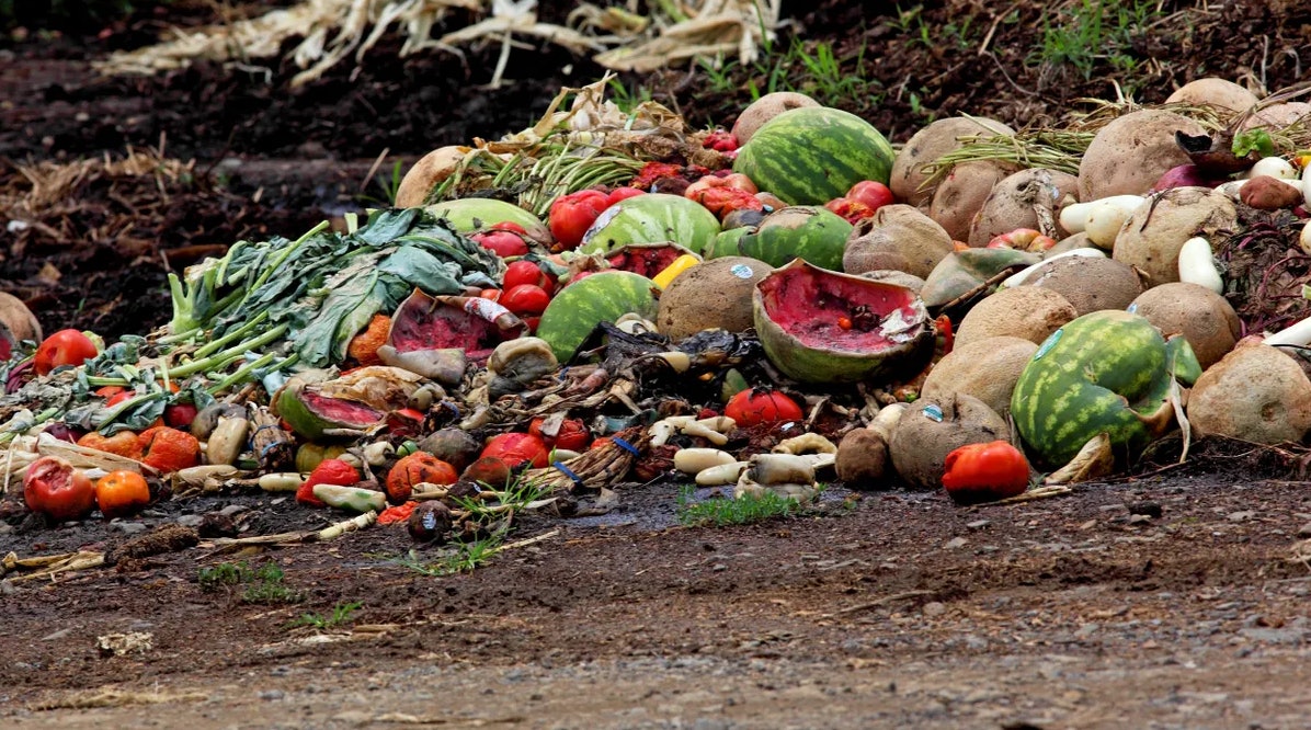 Massachusetts’ organic waste ban is good for business, state finds