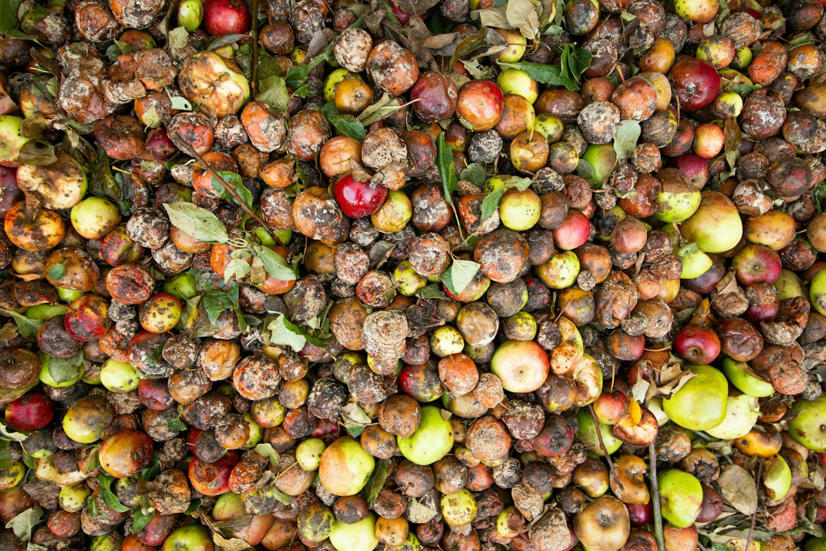 The Case for U.S. Food Waste Biomethane to Supply Emerging Global Demand