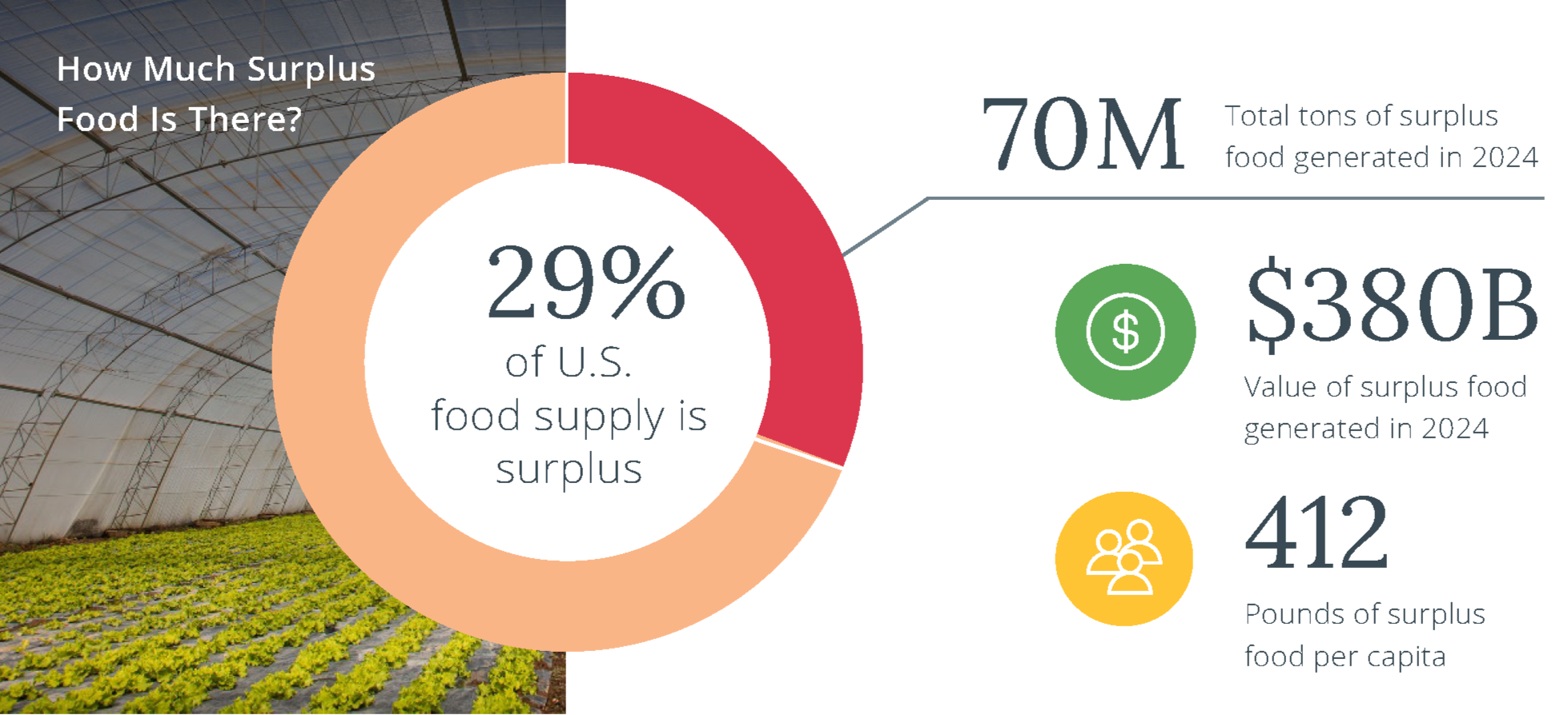 Surplus Food Statistics