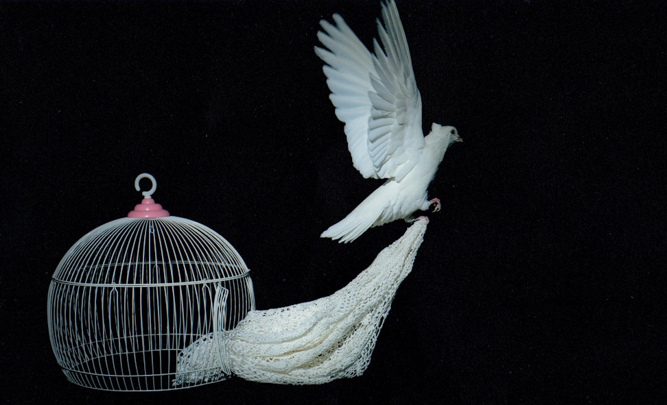 A group of five Bahá’í women prisoners and five other prisoners of conscience created a beautiful white silk crochet in honor of the bicentenary of the Birth of Bahá’u’lláh. They then used the crochet to create a photographic composition to give voice to their sentiments on this momentous occasion.