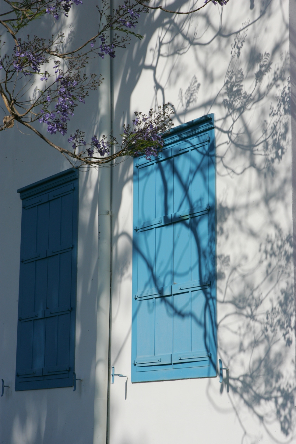 Windows on the Bahjí Pilgrim House