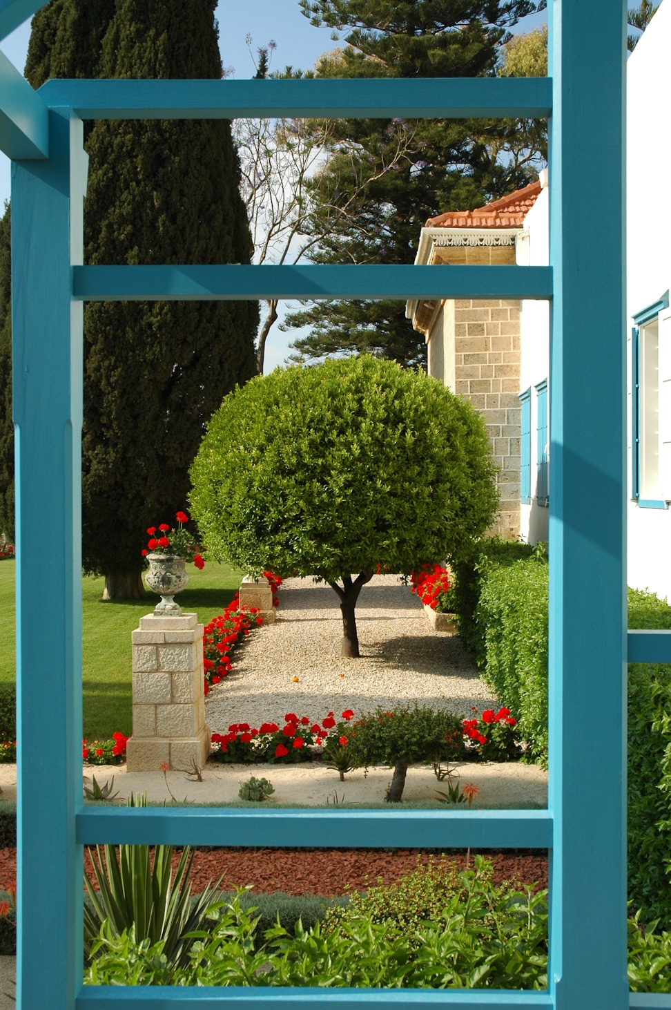 Tree in the garden near the Shrine of Bahá’u’lláh