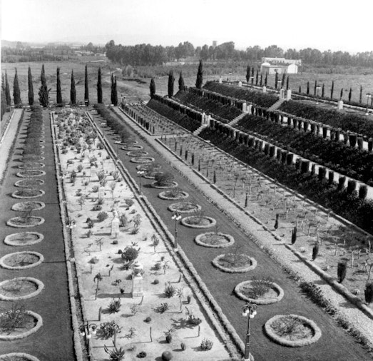 Gardens at Bahjí, c. 1962