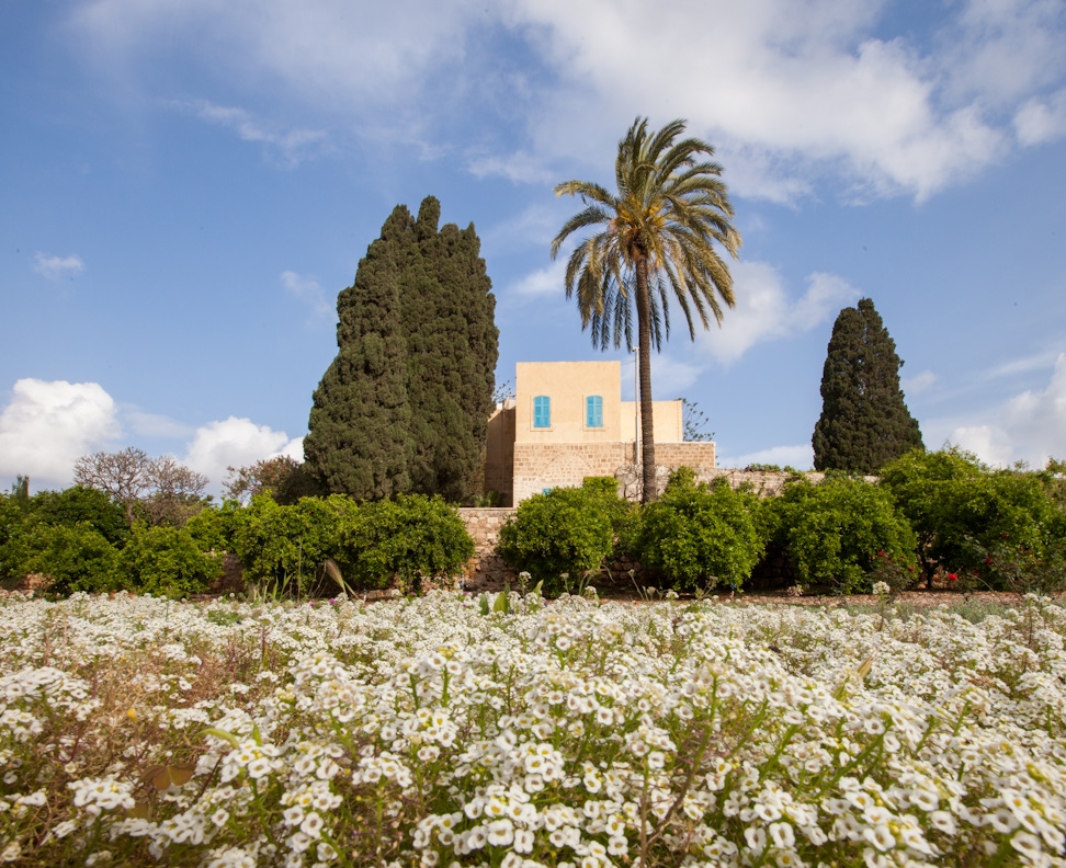 Mansion of Mazra'ih and surrounding gardens