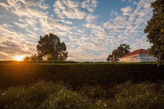 Sunset at the Shrine of Bahá’u’lláh, looking from the Mansion of Bahjí