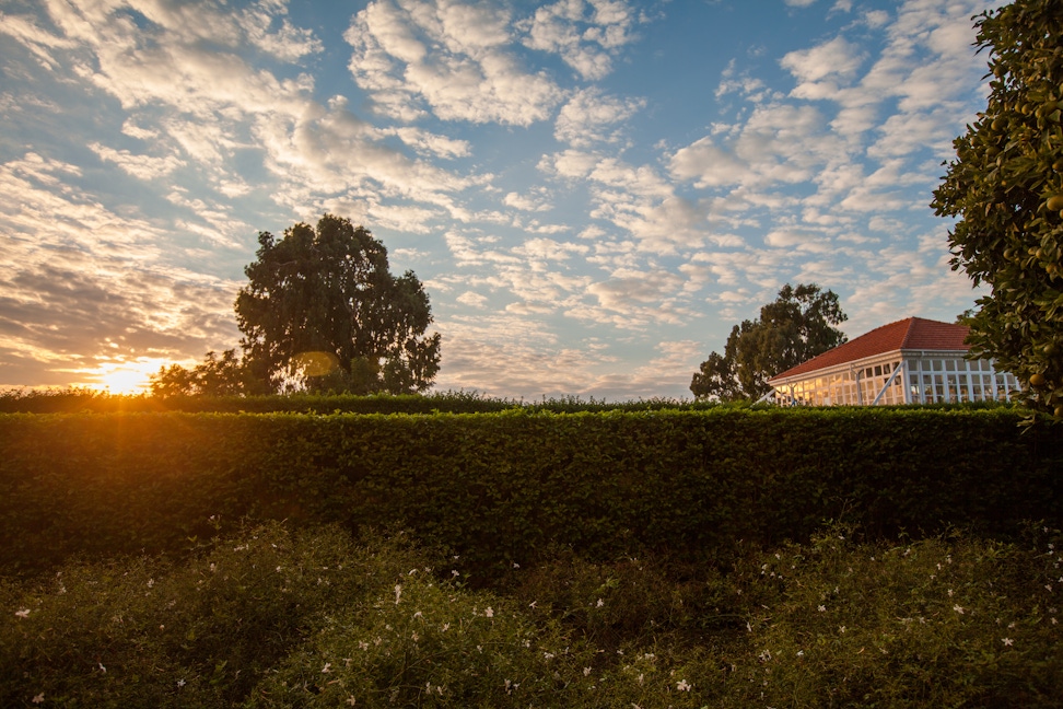 Sunset at the Shrine of Bahá’u’lláh, looking from the Mansion of Bahjí