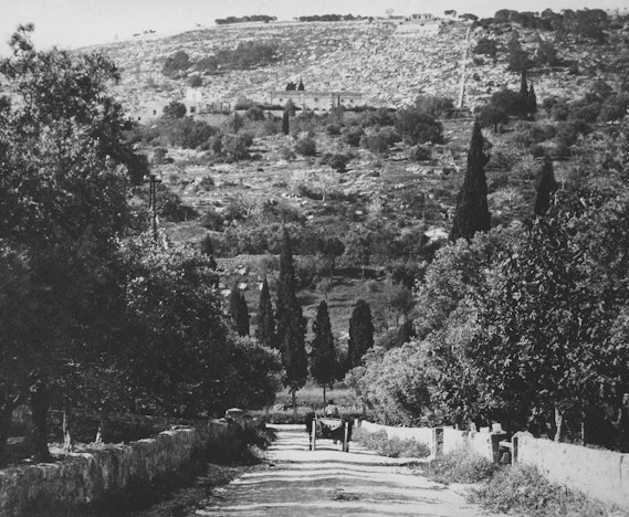 View of the Shrine of the Báb from the road which later became Ben Gurion Avenue (1905-1910)