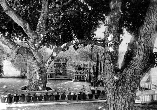 The Riḍván Garden, located outside the city of ‘Akká, was rented by ‘Abdu’l-Bahá in 1875 and prepared for Bahá’u’lláh's use. Bahá’u’lláh visited this garden many times during the latter part of his life