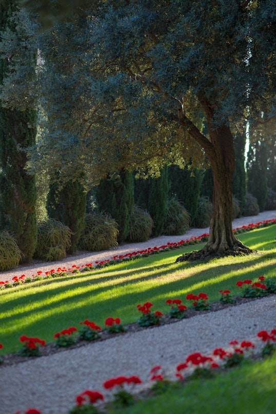 Paths leading to the Monument Gardens 