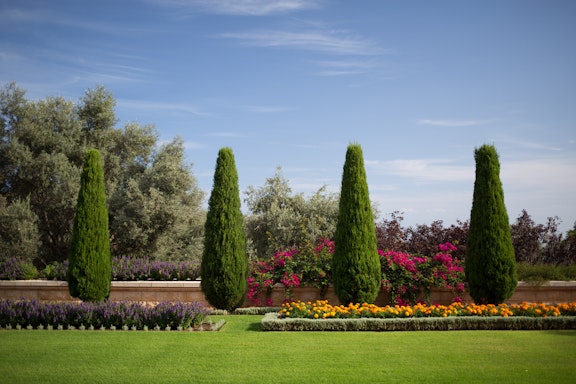 Gardens near the Shrine of the Báb 