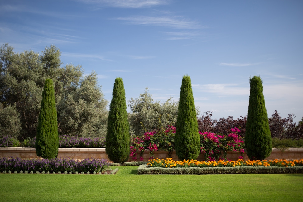 Gardens near the Shrine of the Báb 