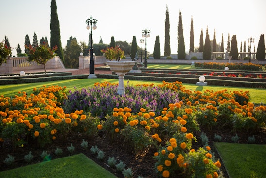 Gardens on terrace eleven 